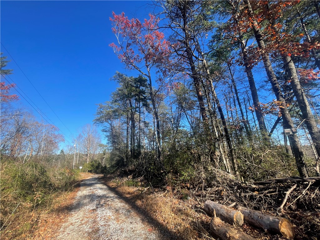 Lot 6-and Knox Creek Road Tamassee, SC 29686 - Photo 5 of 10