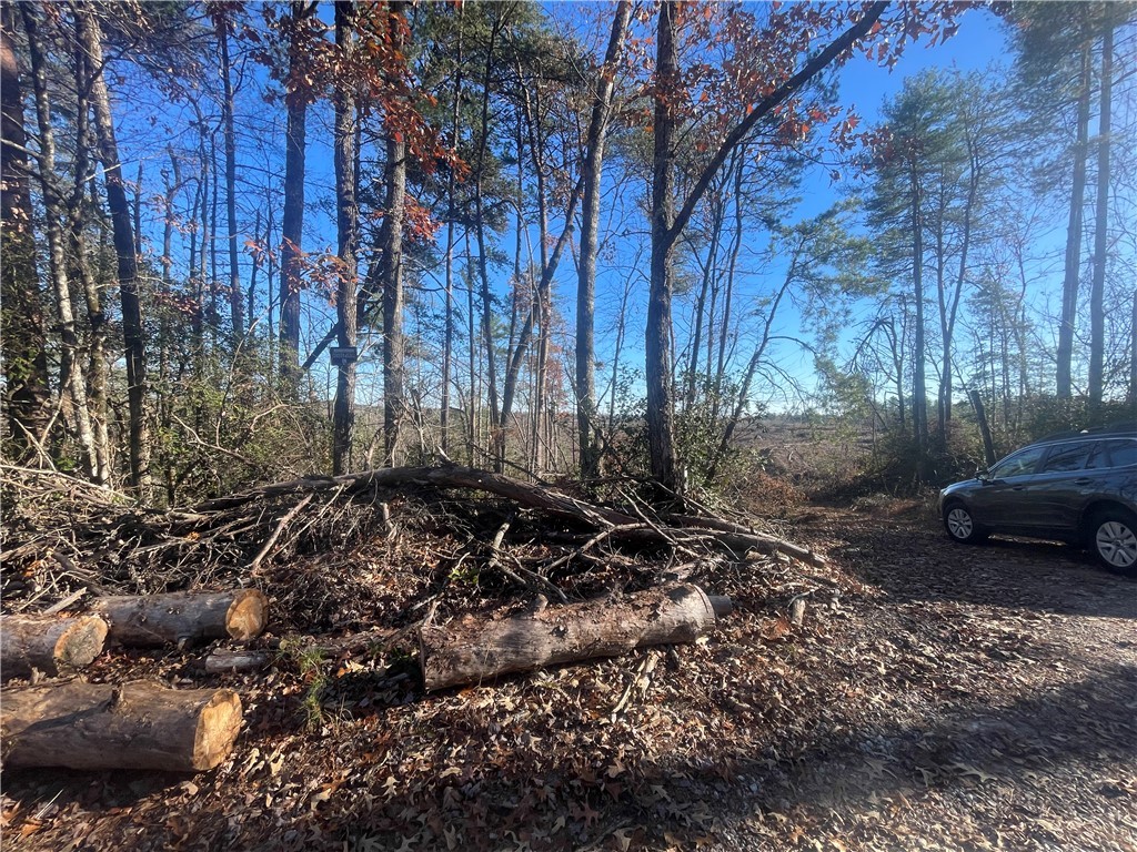 Lot 6-and Knox Creek Road Tamassee, SC 29686 - Photo 6 of 10