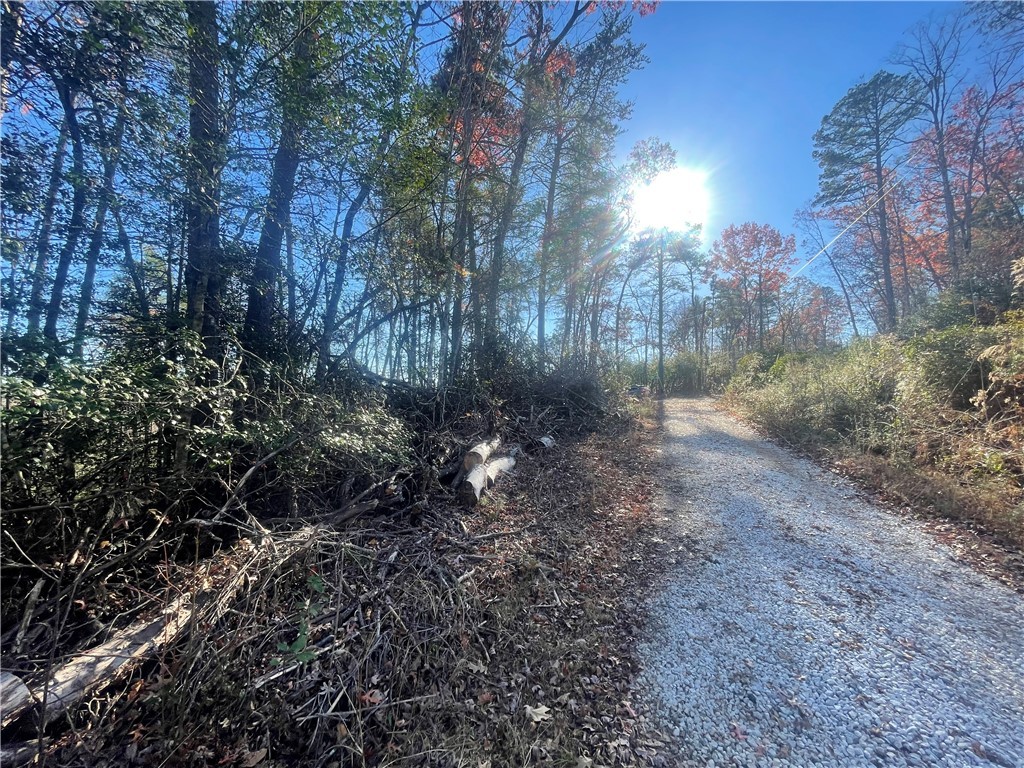 Lot 6-and Knox Creek Road Tamassee, SC 29686 - Photo 7 of 10