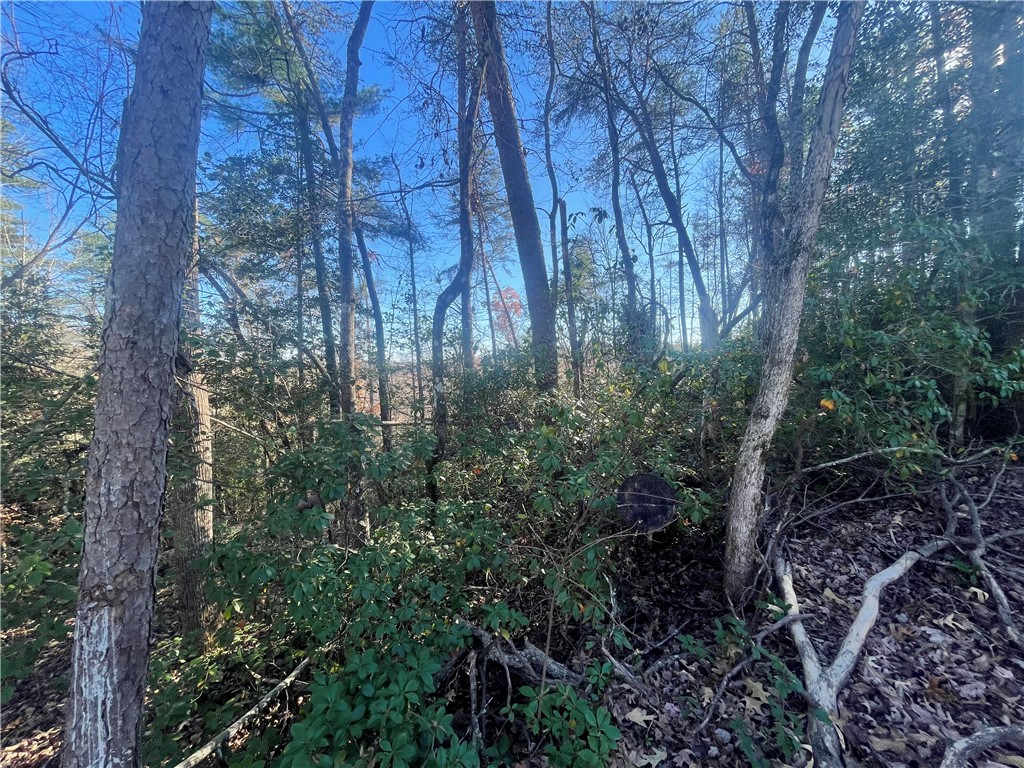 Lot 6-and Knox Creek Road Tamassee, SC 29686 - Photo 8 of 10