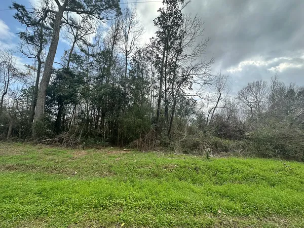 $12,500 | 0 Redbud Drive, Conroe, TX 77302