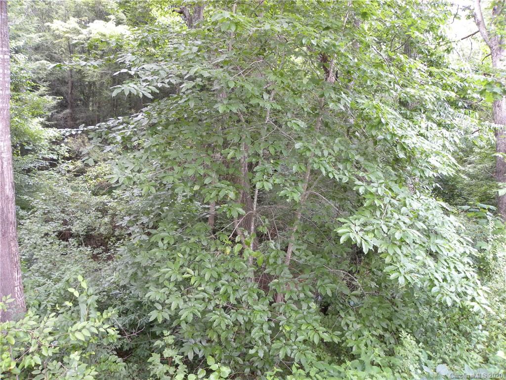 203 Signal Point Road Swannanoa, NC 28778 - Photo 15 of 17 Gallery Image 15