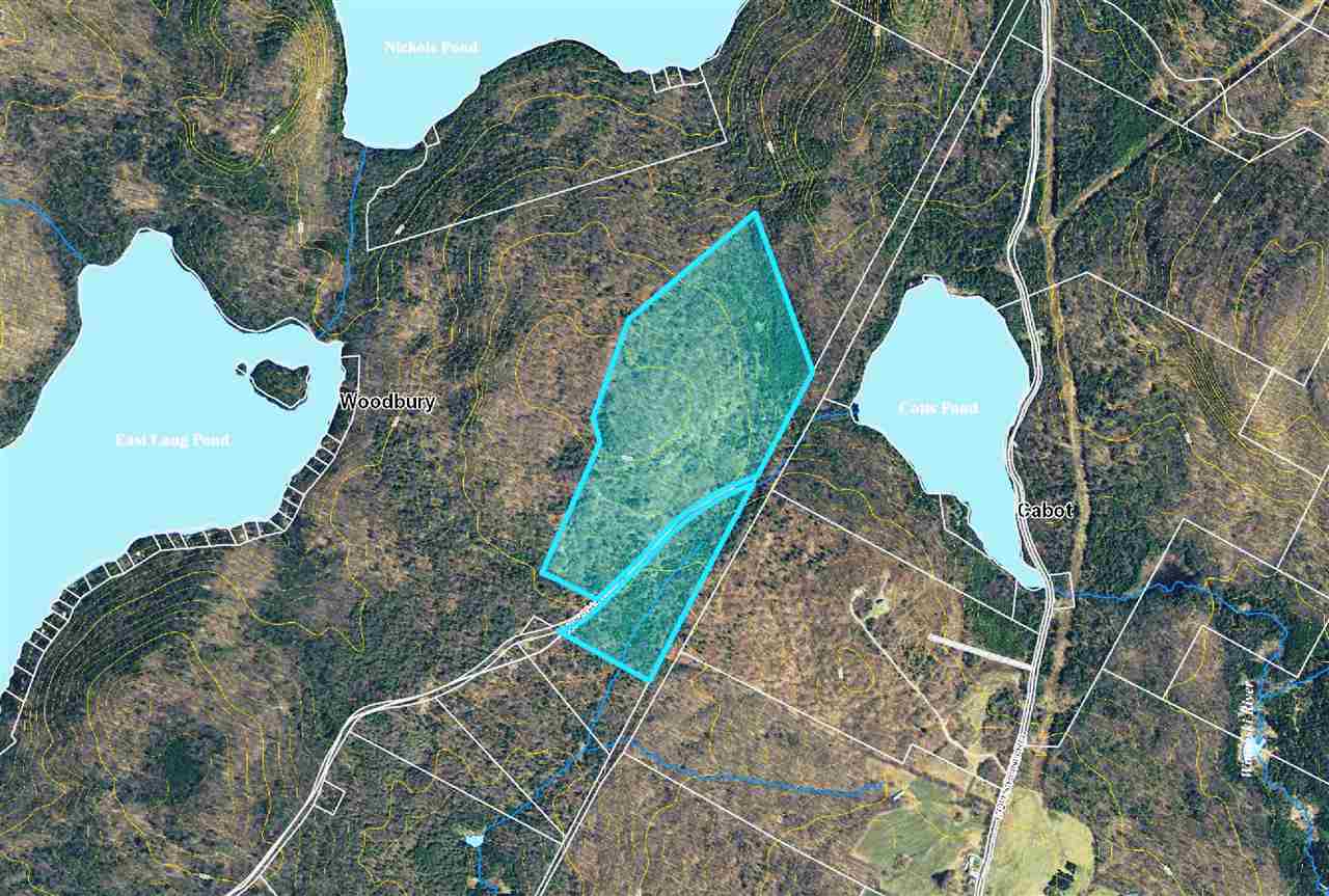 1800 North Road Cabot, VT 05647 - Photo 1 of 39