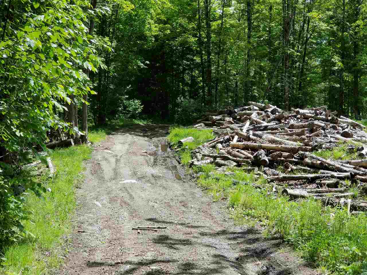 1800 North Road Cabot, VT 05647 - Photo 14 of 39