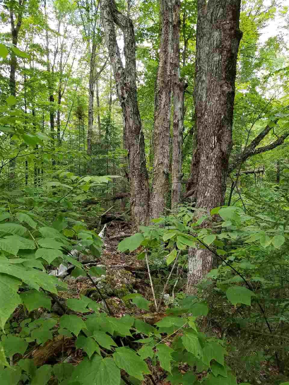 1800 North Road Cabot, VT 05647 - Photo 22 of 39