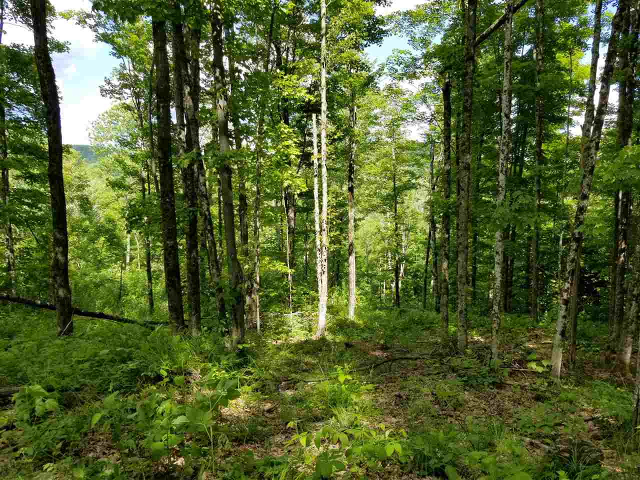 1800 North Road Cabot, VT 05647 - Photo 34 of 39