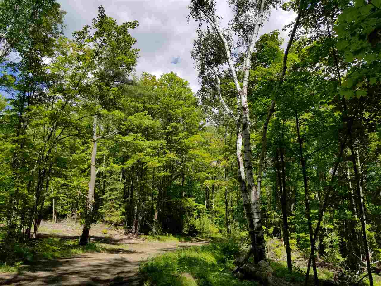 1800 North Road Cabot, VT 05647 - Photo 7 of 39