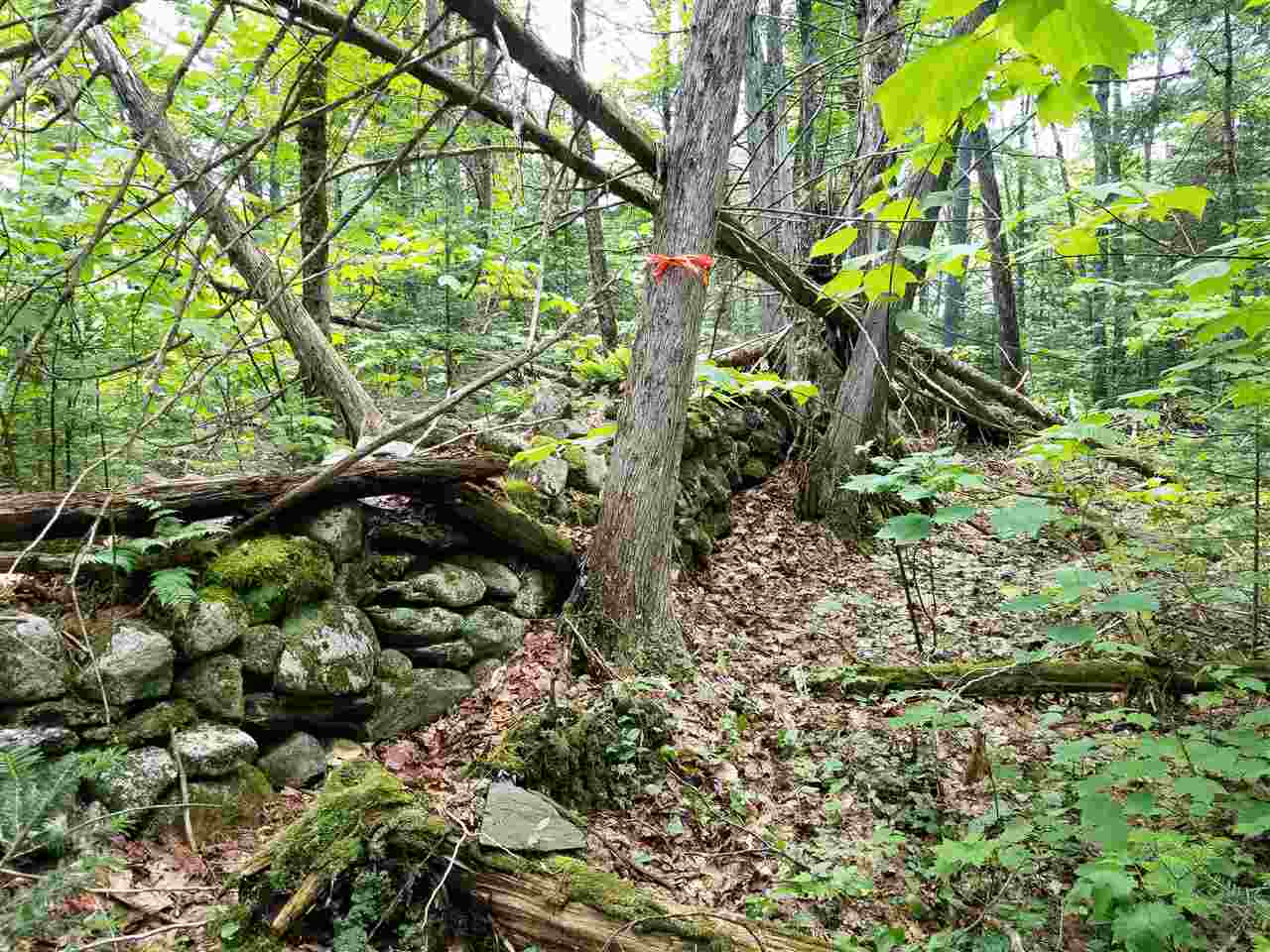 1800 North Road Cabot, VT 05647 - Photo 9 of 39