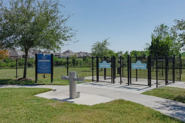 a view of a park with tree s