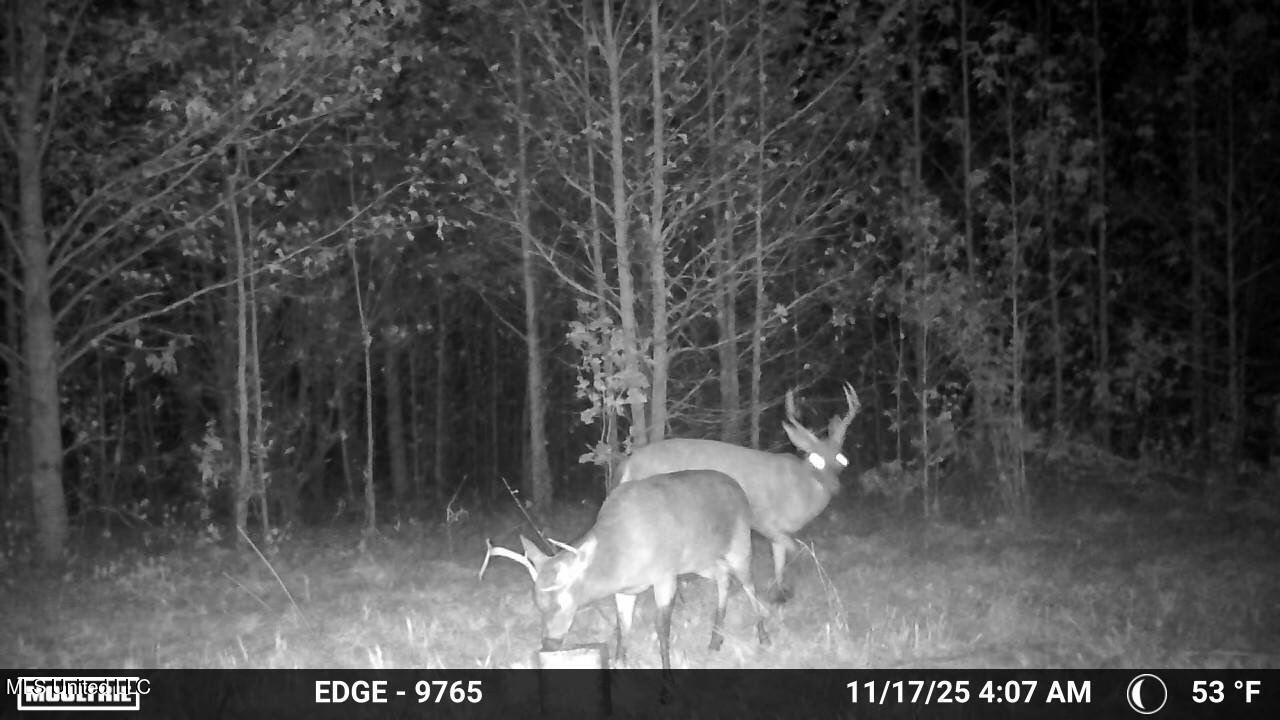 2077 Bethel Church Road Holcomb, MS 38940 - Photo 20 of 24 975817232203975019