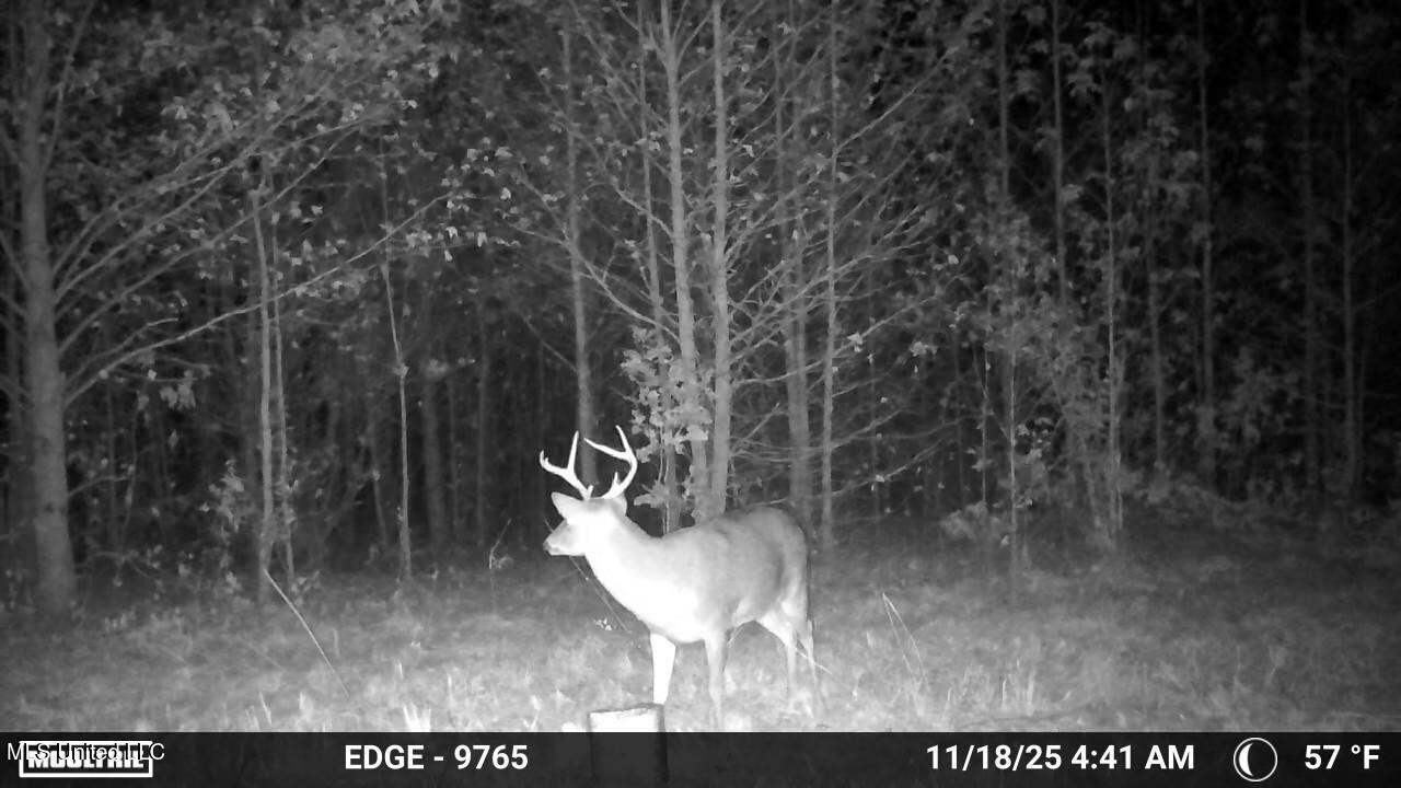 2077 Bethel Church Road Holcomb, MS 38940 - Photo 21 of 24 8552152748520691224