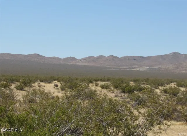a view of mountain with trees