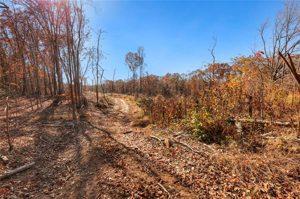 1504 Williams Road Lewisville, NC 27023 - Photo 44 of 46 Gallery Image 44