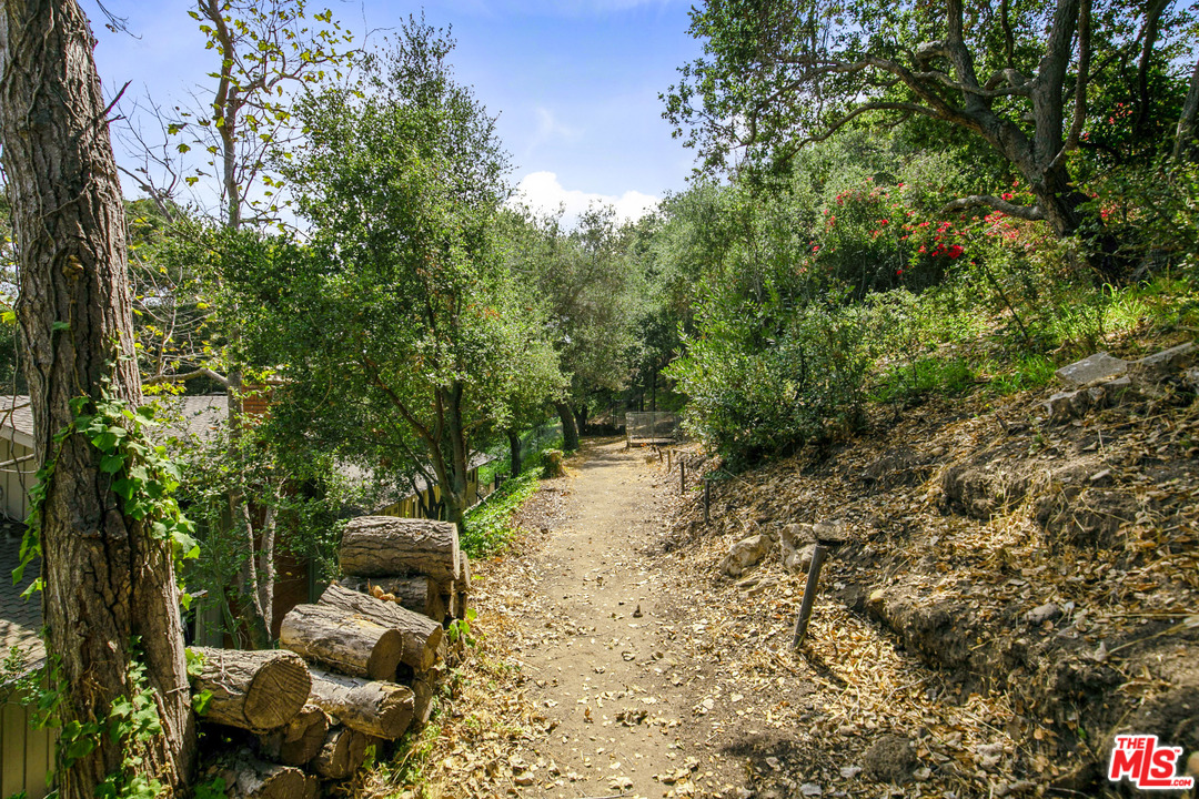 6133 Ramirez Canyon Road Malibu, CA 90265 - Photo 45 of 53 a view of a backyard of the house