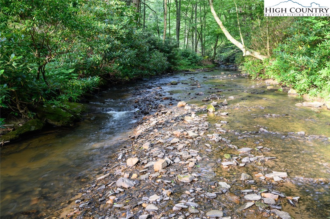 4081 Howard's Creek Road Boone, NC 28607 - Photo 35 of 44