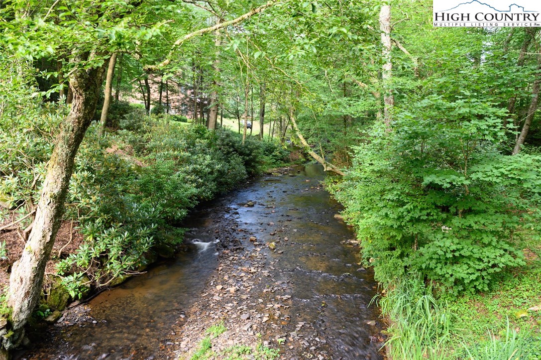 4081 Howard's Creek Road Boone, NC 28607 - Photo 6 of 44