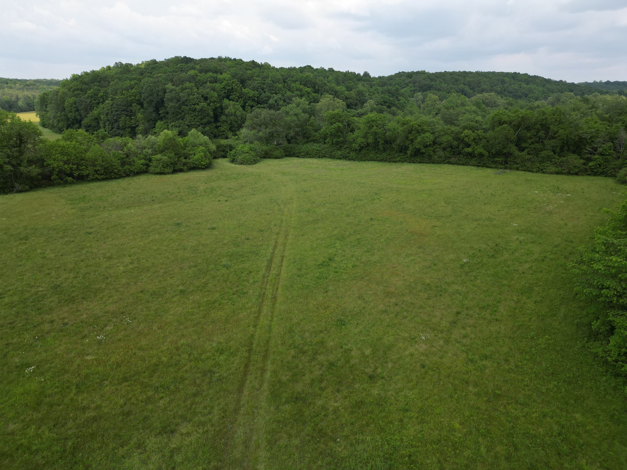 0 Goodrich Road Nunnelly, TN 37137 - Photo 11 of 15