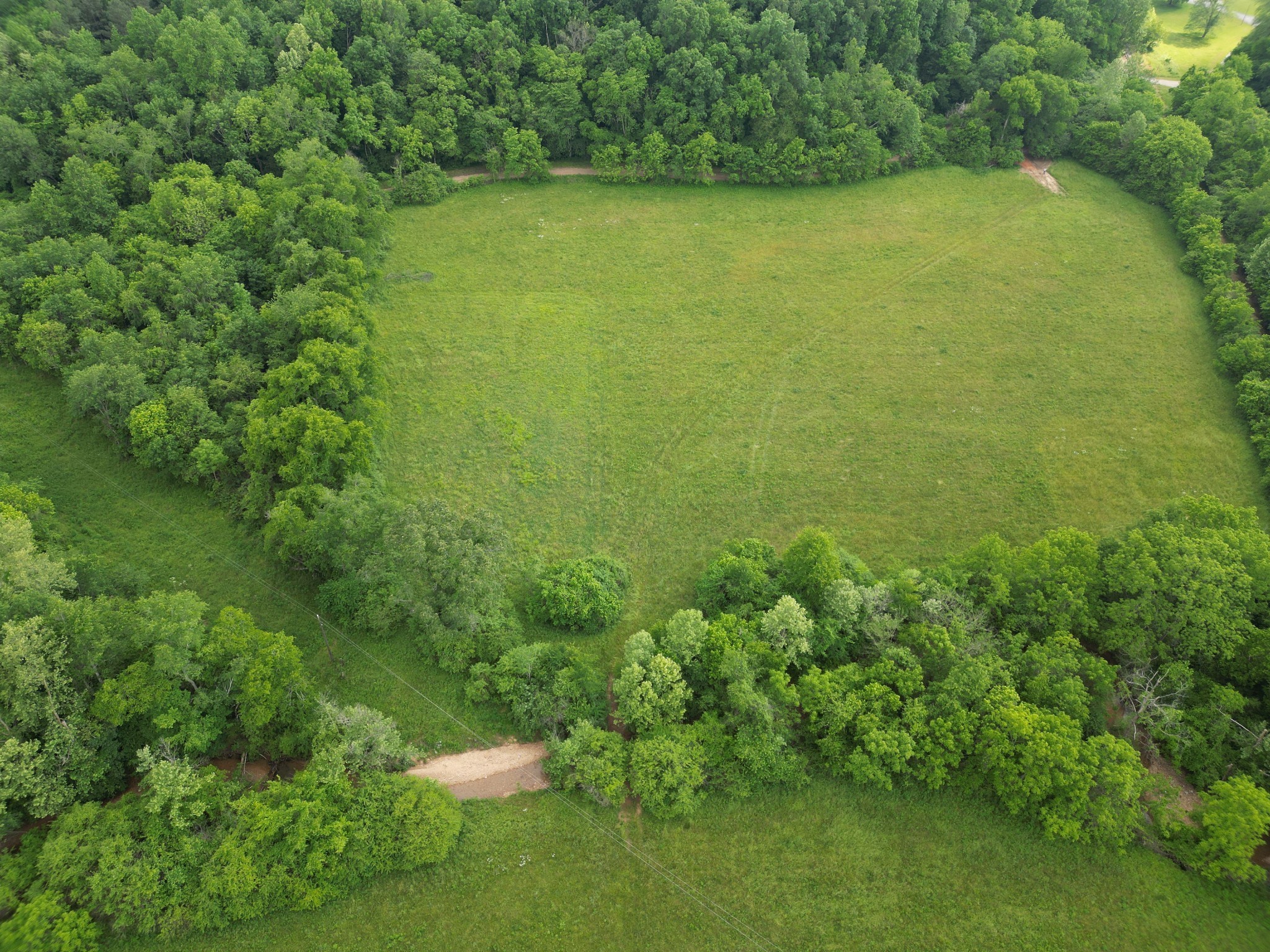 0 Goodrich Road Nunnelly, TN 37137 - Photo 13 of 15