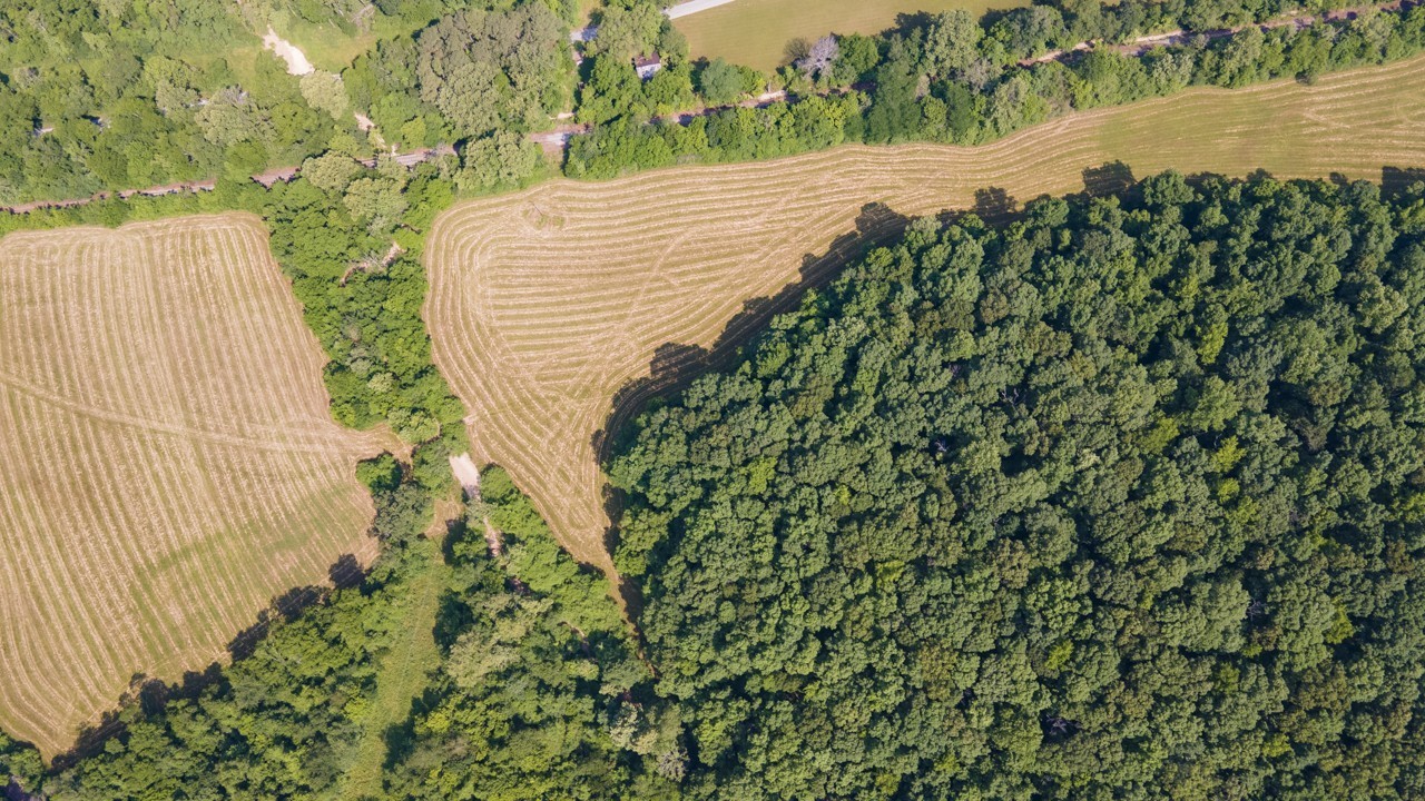 0 Goodrich Road Nunnelly, TN 37137 - Photo 2 of 15