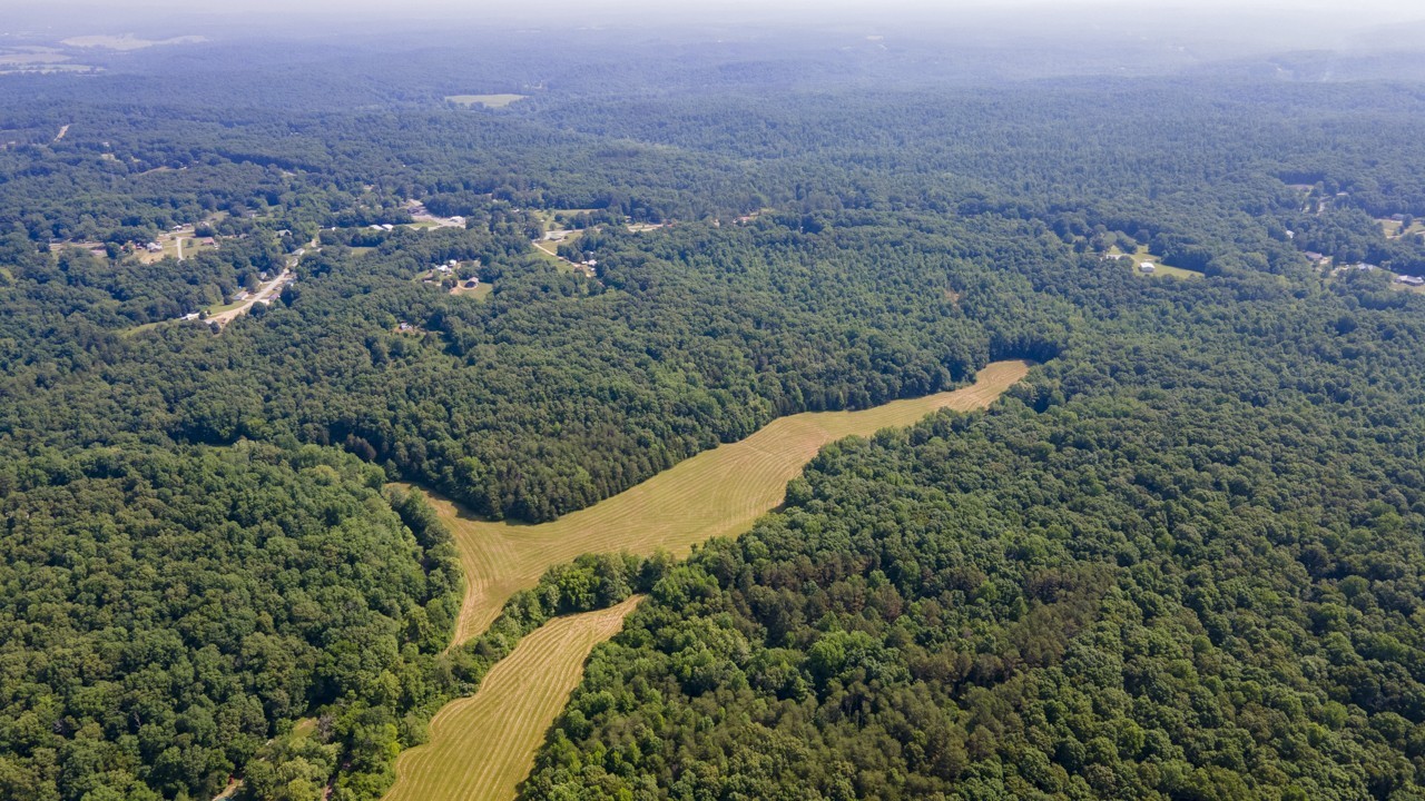 0 Goodrich Road Nunnelly, TN 37137 - Photo 3 of 15