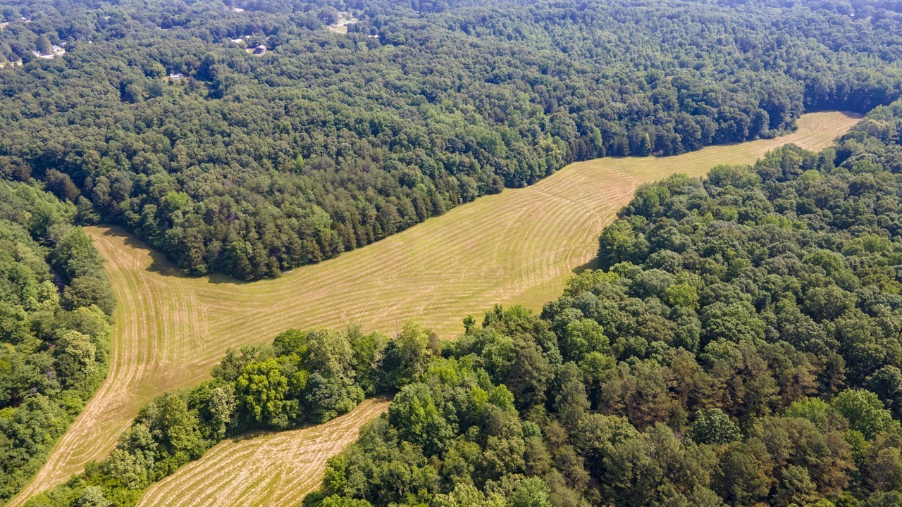 0 Goodrich Road Nunnelly, TN 37137 - Photo 4 of 15