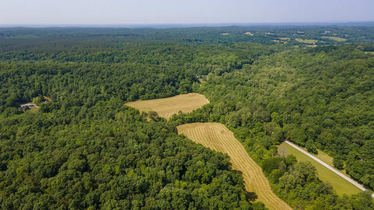 0 Goodrich Road Nunnelly, TN 37137 - Photo 5 of 15