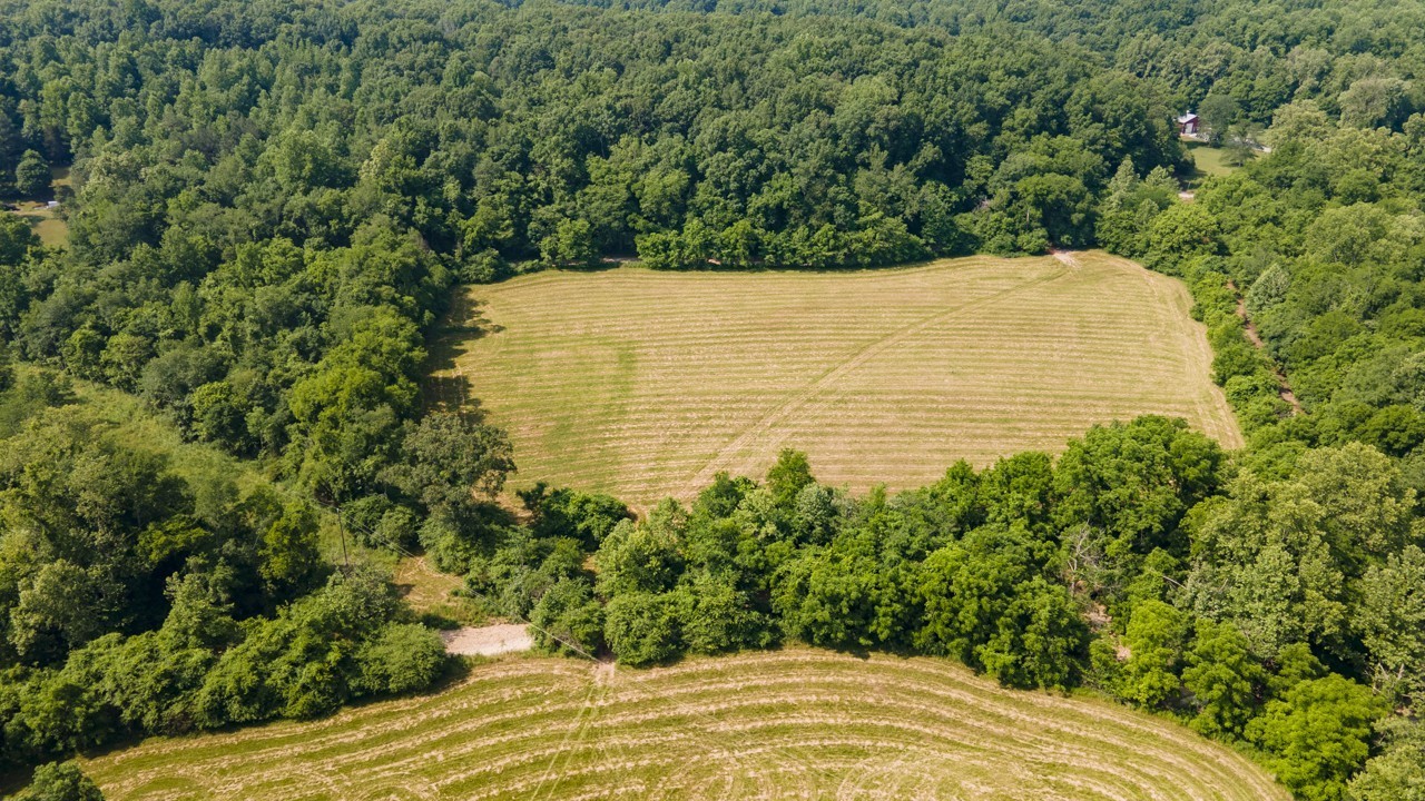 0 Goodrich Road Nunnelly, TN 37137 - Photo 6 of 15