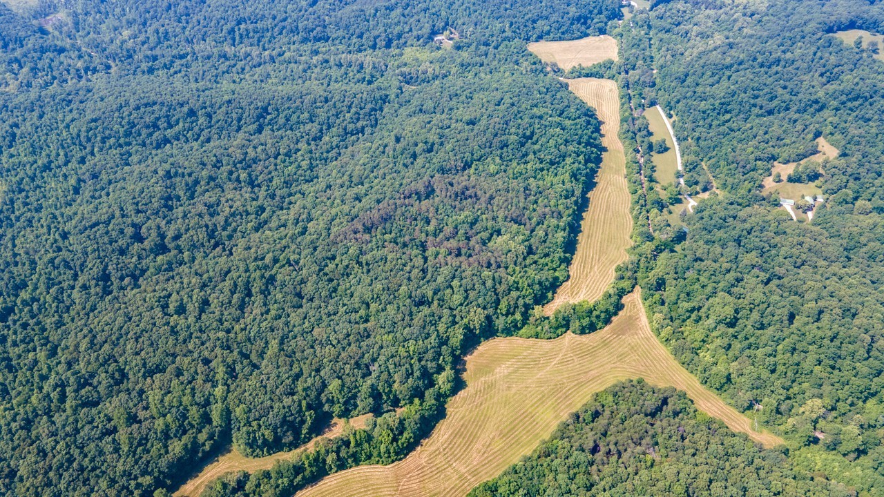 0 Goodrich Road Nunnelly, TN 37137 - Photo 7 of 15