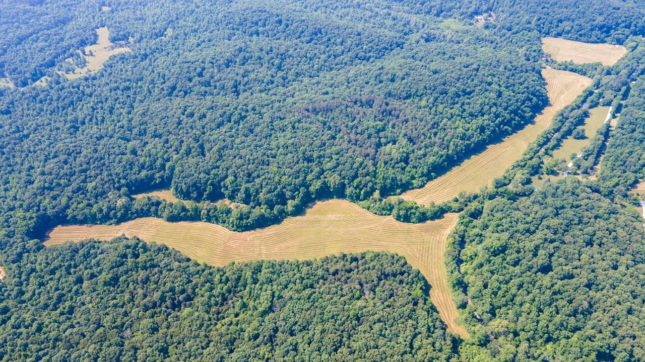 0 Goodrich Road Nunnelly, TN 37137 - Photo 8 of 15