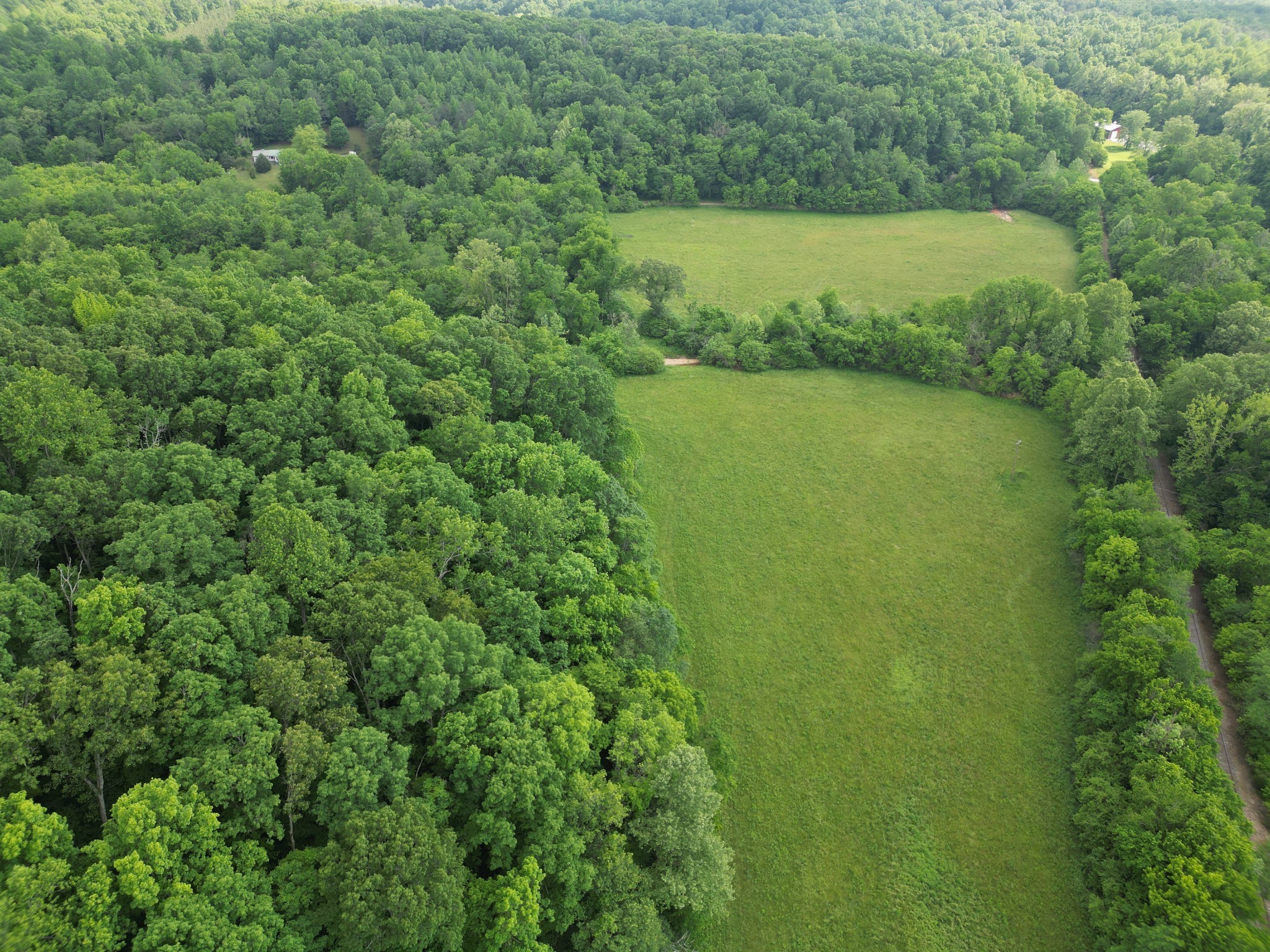 0 Goodrich Road Nunnelly, TN 37137 - Photo 10 of 15