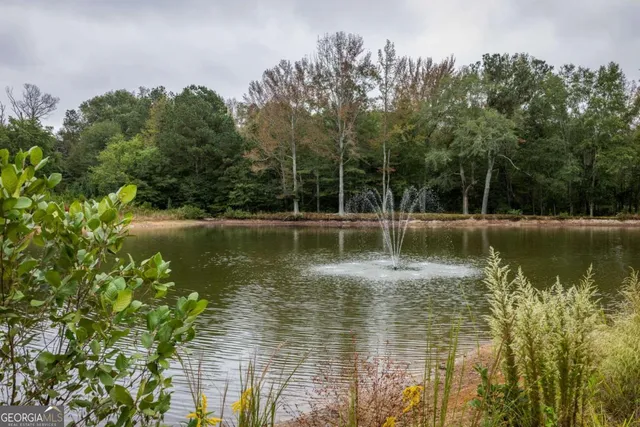 a view of a lake with a yard and trees