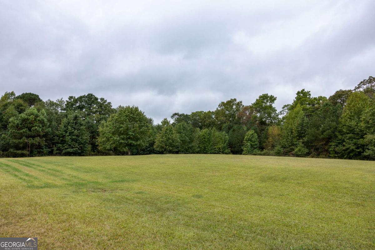 265 Honeysuckle Lane Temple, GA 30179 - Photo 42 of 46 a view of a field with trees in the background