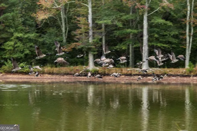a view of swimming pool and lake view