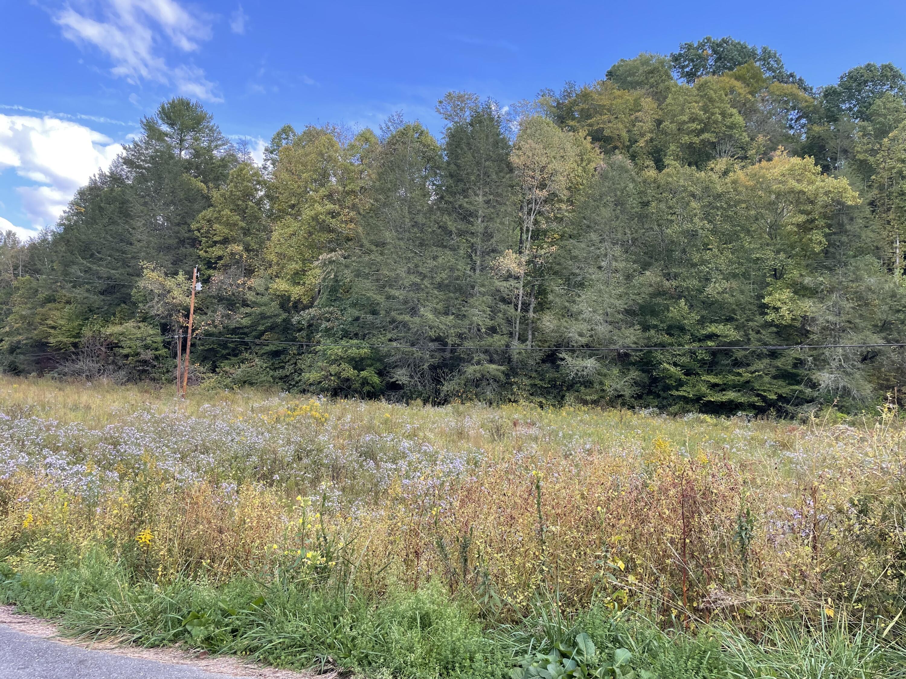 Tbd Piney Grove Road, Unit 13 ACRE Hampton, TN 37658 - Photo 12 of 23 5EA69D24-FCB5-429B-8B7C-001EAB1F3A84