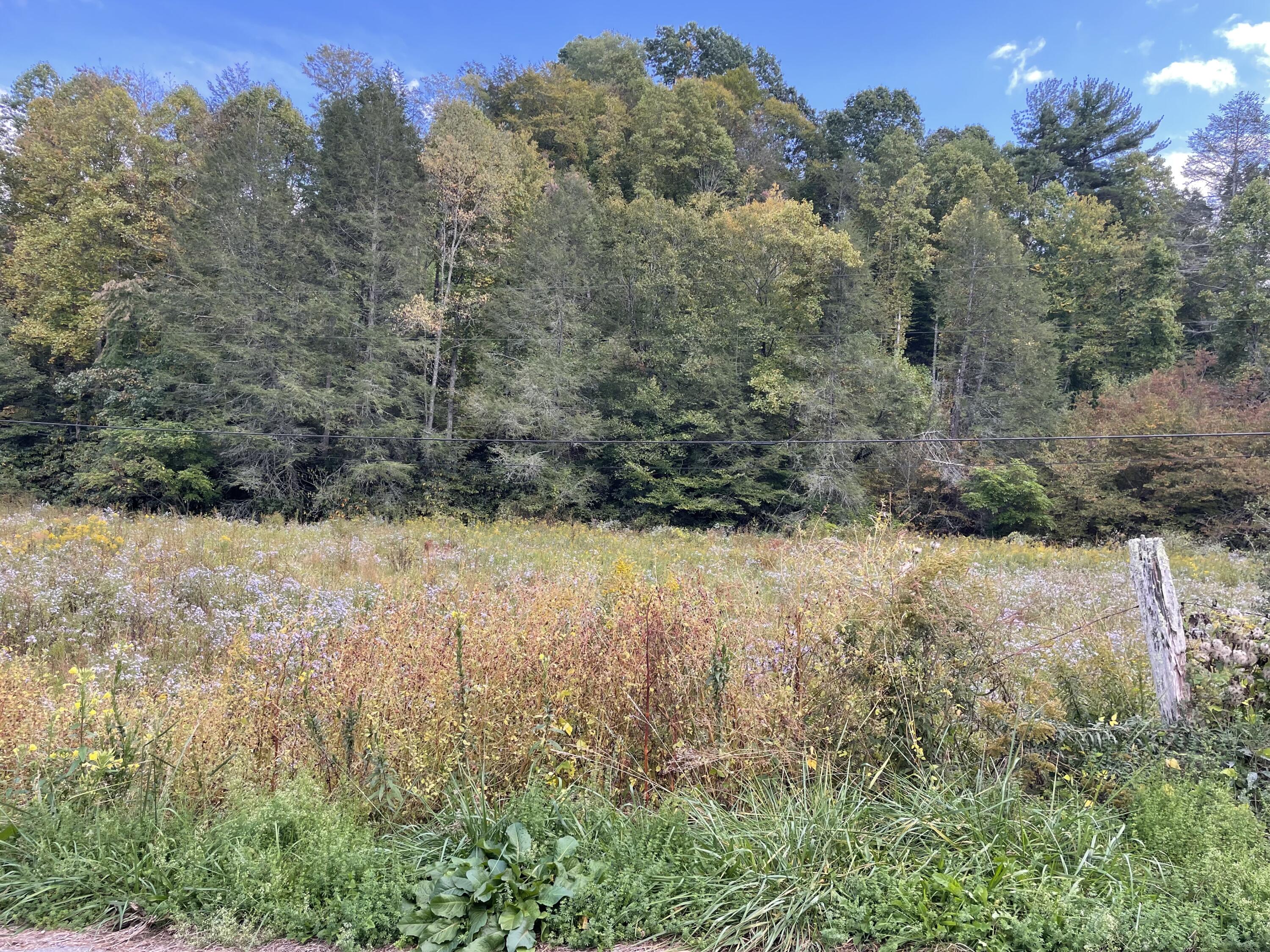 Tbd Piney Grove Road, Unit 13 ACRE Hampton, TN 37658 - Photo 13 of 23 CDD87760-37B2-4E5A-8C34-17B9EA658BA9