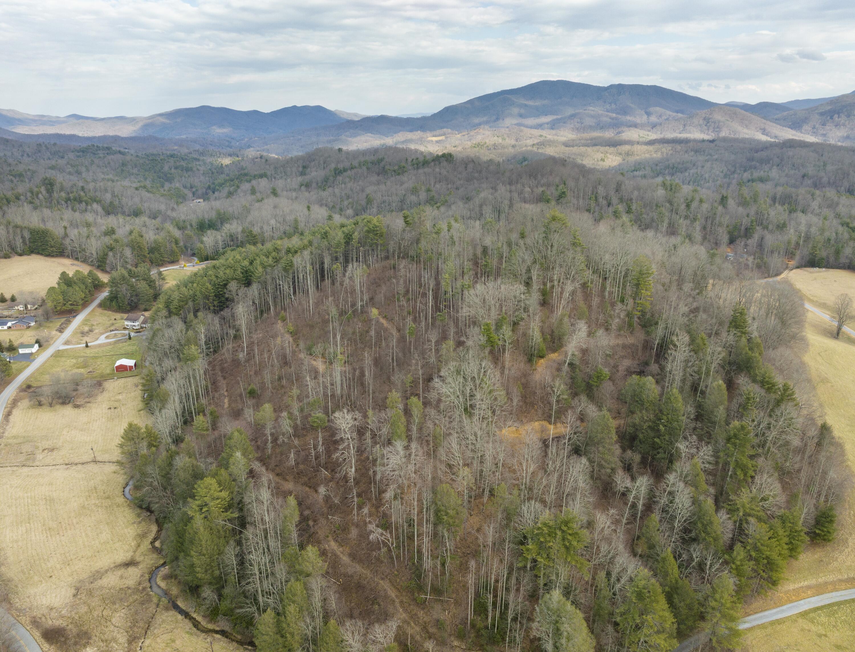 Tbd Piney Grove Road, Unit 13 ACRE Hampton, TN 37658 - Photo 14 of 23 Piney grove pic 8--19