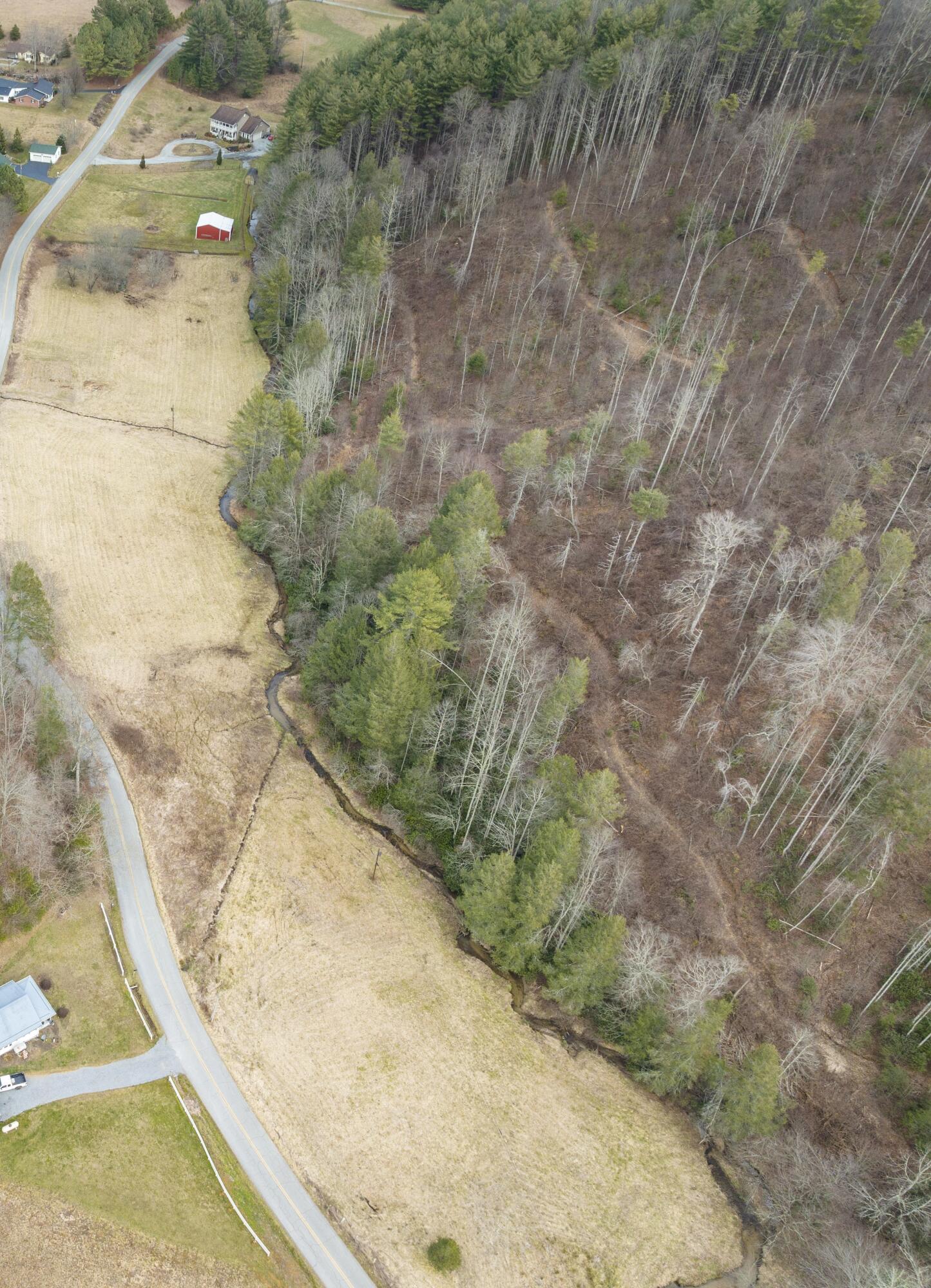 Tbd Piney Grove Road, Unit 13 ACRE Hampton, TN 37658 - Photo 15 of 23 Piney grove Pic 7 --18