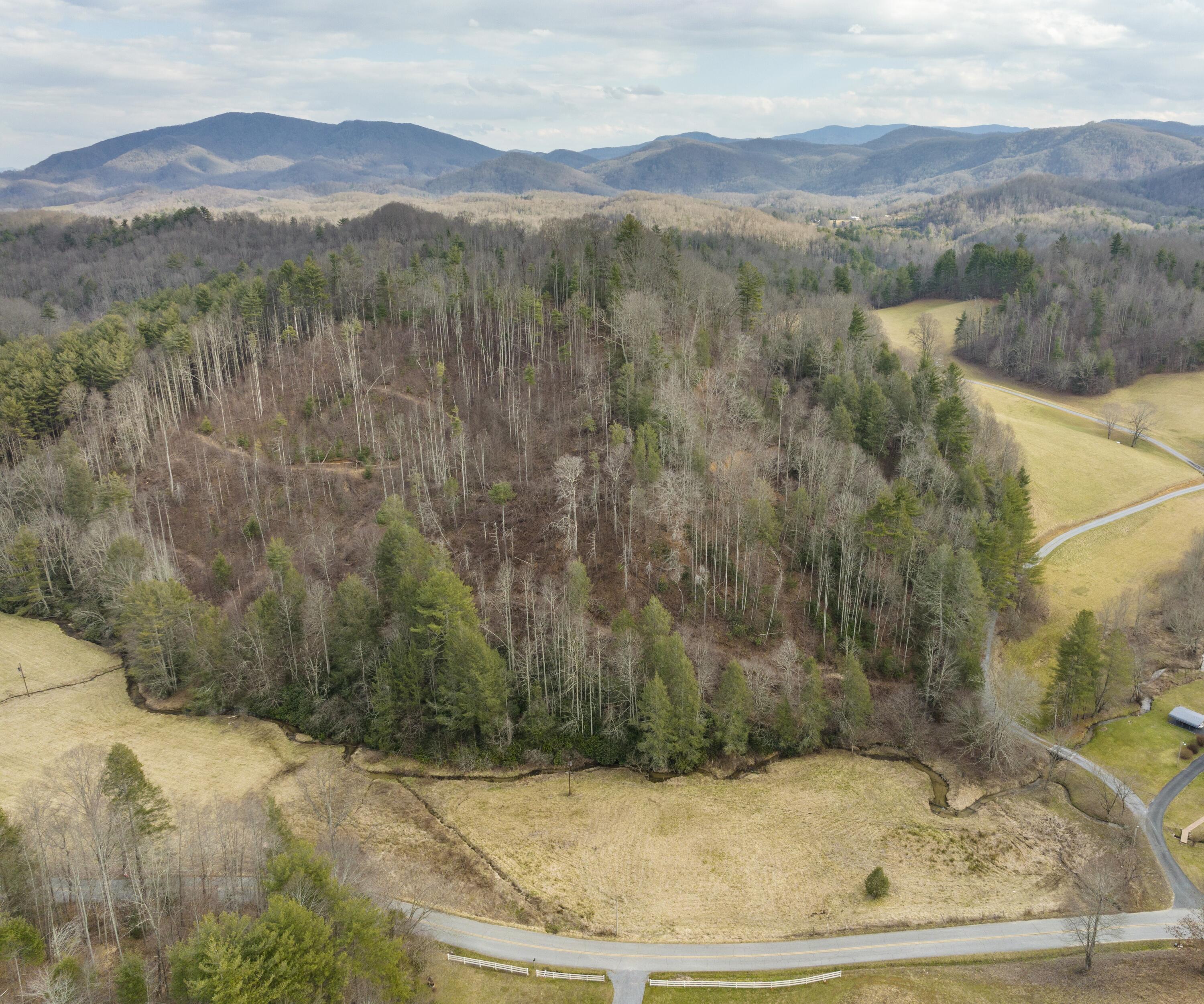 Tbd Piney Grove Road, Unit 13 ACRE Hampton, TN 37658 - Photo 16 of 23 Piney grove pic 6--16