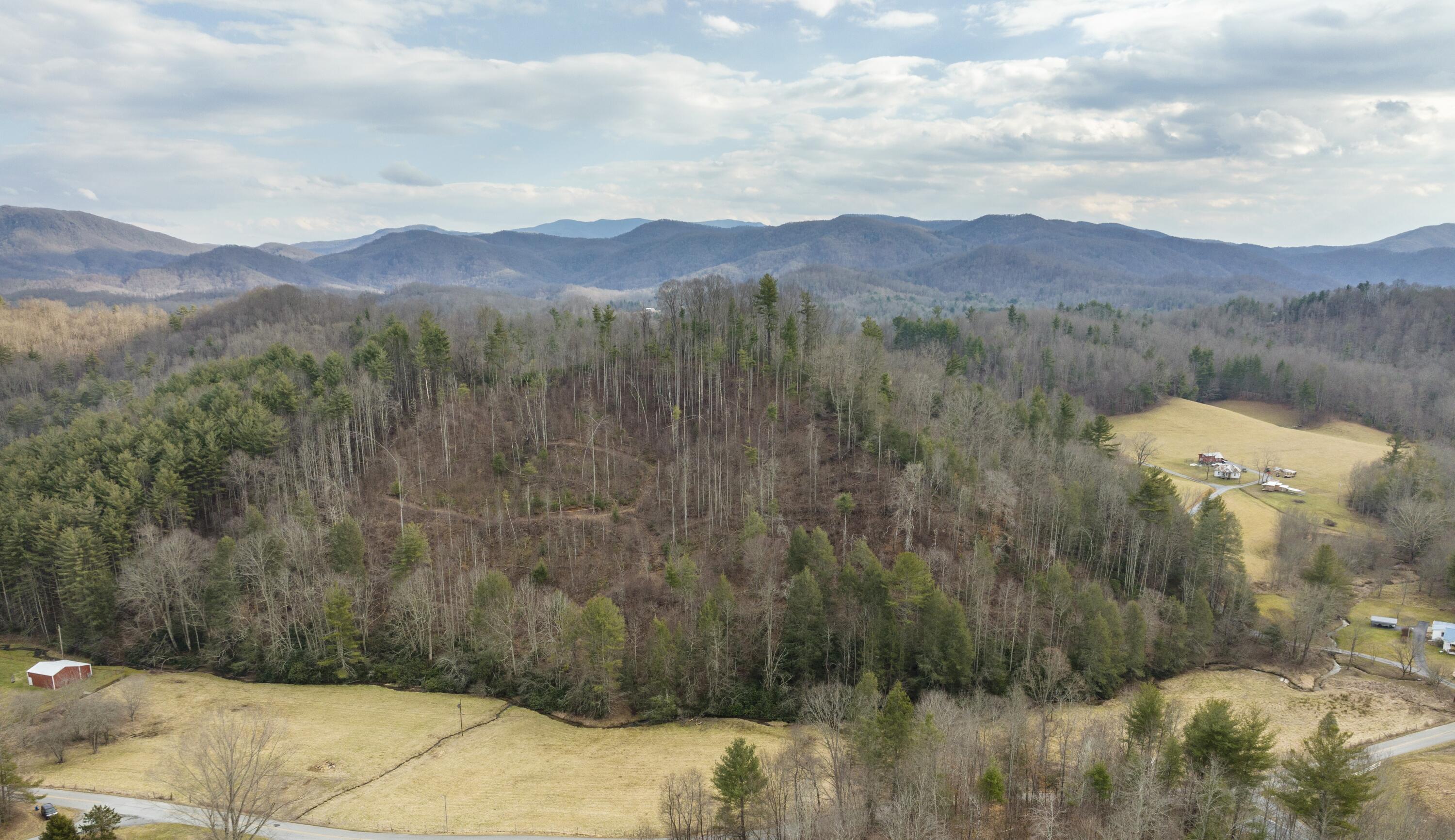 Tbd Piney Grove Road, Unit 13 ACRE Hampton, TN 37658 - Photo 20 of 23 Piney Grove Pic 2--5