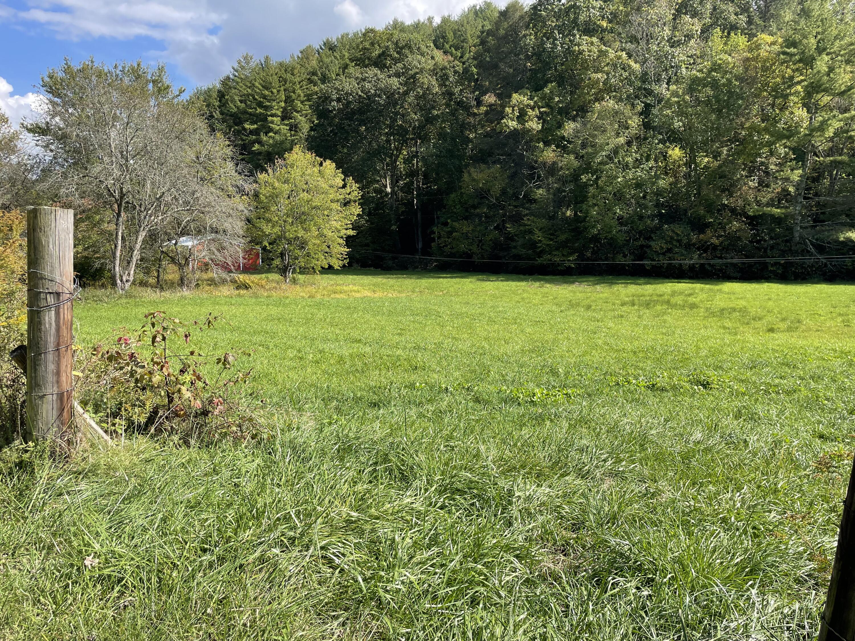 Tbd Piney Grove Road, Unit 13 ACRE Hampton, TN 37658 - Photo 8 of 23 67013C57-BA94-4B91-A97D-E899FE43D7E7