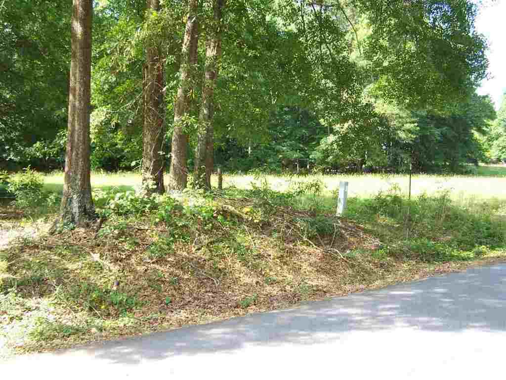 1 Sprouse Lane Fountain Inn, SC 29644 - Photo 11 of 29