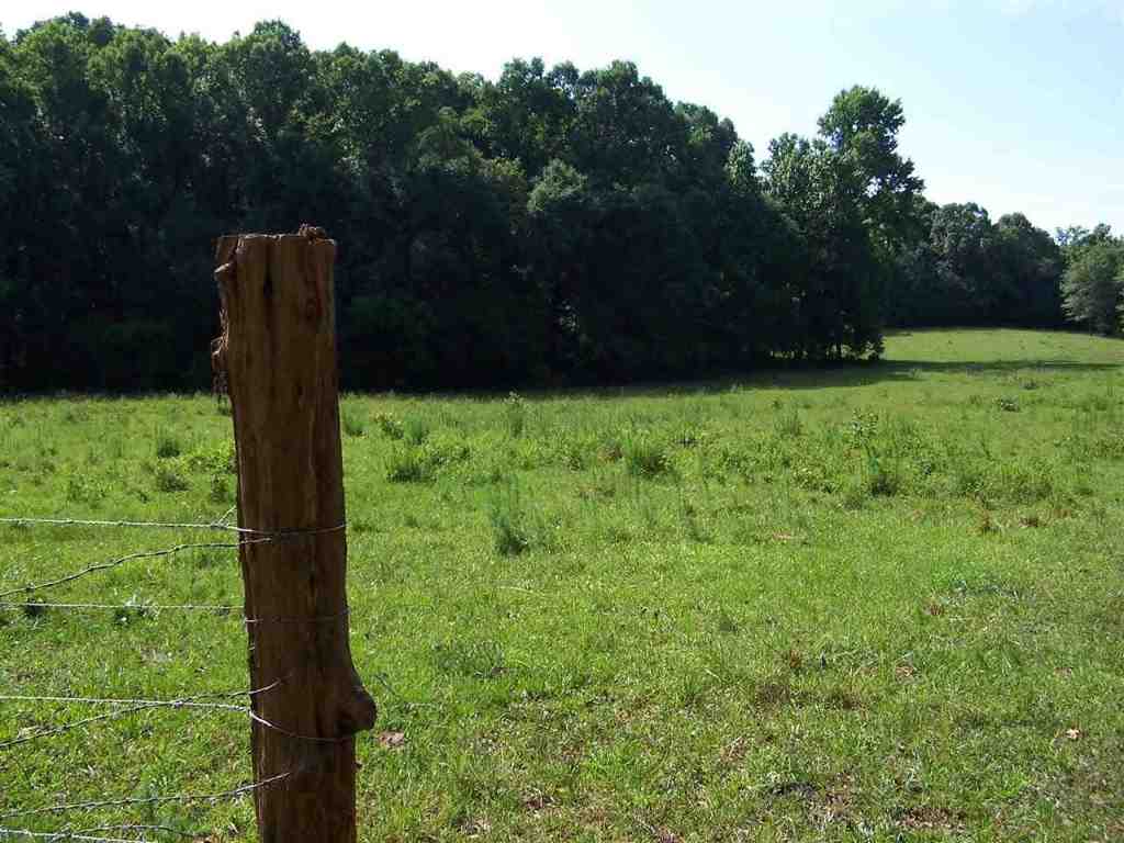 1 Sprouse Lane Fountain Inn, SC 29644 - Photo 13 of 29