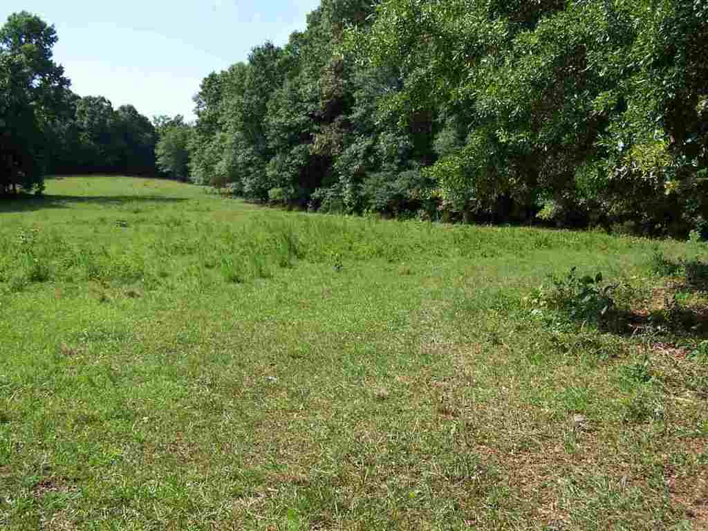 1 Sprouse Lane Fountain Inn, SC 29644 - Photo 2 of 29