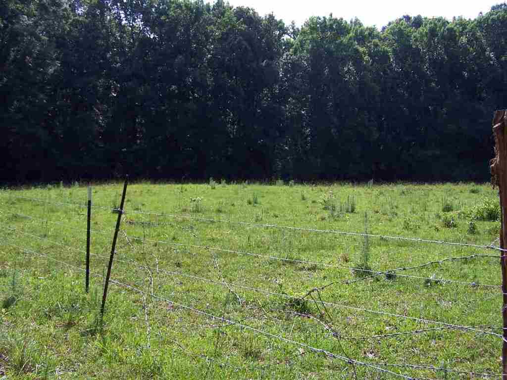1 Sprouse Lane Fountain Inn, SC 29644 - Photo 24 of 29