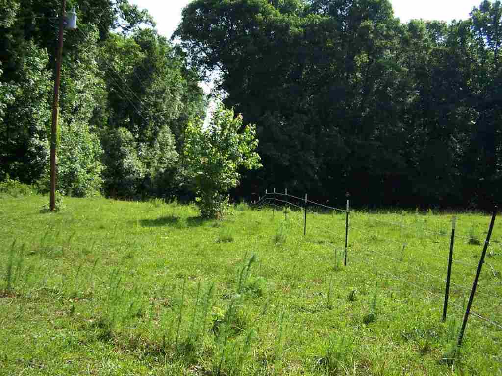 1 Sprouse Lane Fountain Inn, SC 29644 - Photo 25 of 29