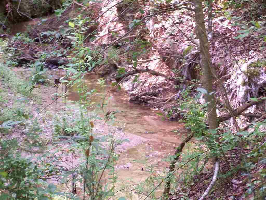 1 Sprouse Lane Fountain Inn, SC 29644 - Photo 29 of 29