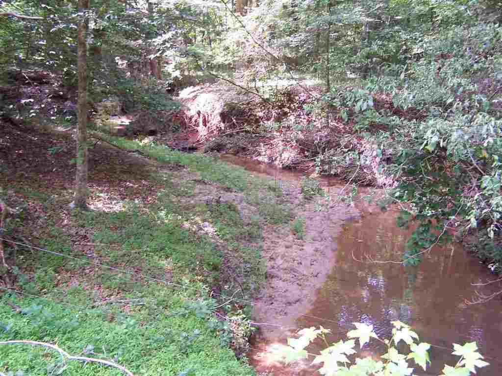 1 Sprouse Lane Fountain Inn, SC 29644 - Photo 3 of 29