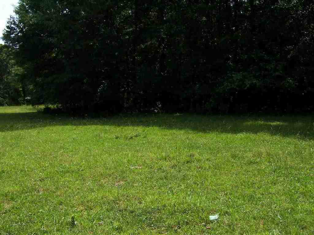 1 Sprouse Lane Fountain Inn, SC 29644 - Photo 7 of 29