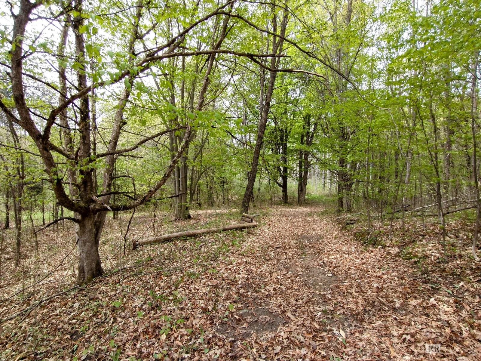 12451 Maple Valley Road Gladwin, MI 48624 - Photo 47 of 95