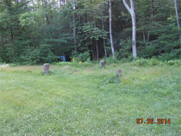 349 Erickson Road Ashby, MA 01431 - Photo 13 of 17 a ground with lots of trees and plants